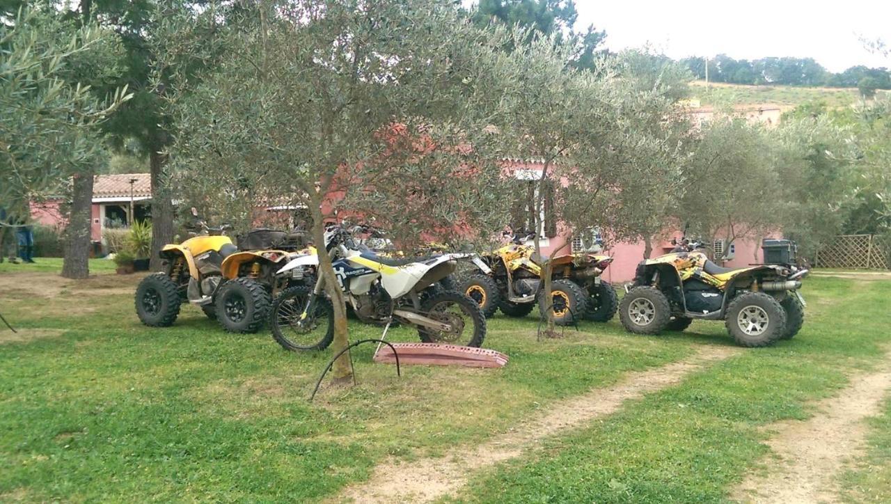 Agriturismo L'Aglientu B&B Loiri Porto San Paolo Exteriör bild