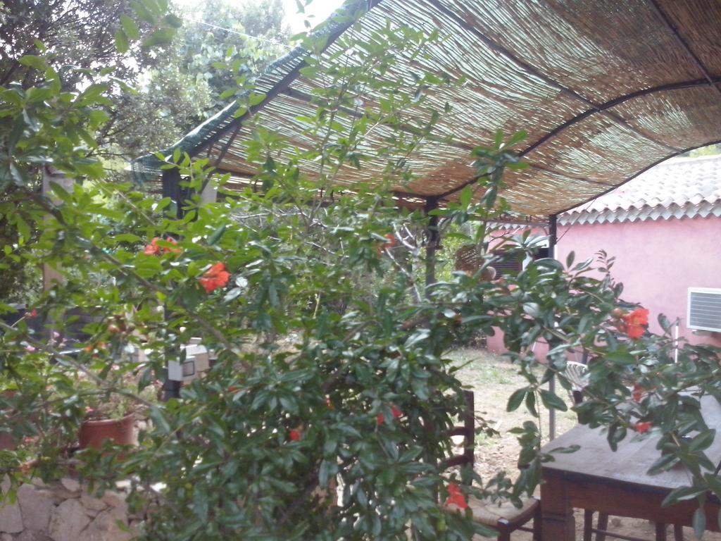 Agriturismo L'Aglientu B&B Loiri Porto San Paolo Exteriör bild